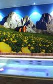 Туры в отель Cirelle Suite & Spa (Canazei) Туры в отель Cirelle Suite & Spa (Canazei)