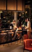 Туры в отель Canopy By Hilton Osaka Umeda Туры в отель Canopy By Hilton Osaka Umeda