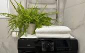 Туры в отель Sokol Apartments Туры в отель Sokol Apartments