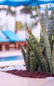 Туры в отель Turkuaz Beach Hotel Туры в отель Turkuaz Beach Hotel