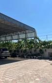 Туры в отель Tsvetochny Ray Guest house Туры в отель Tsvetochny Ray Guest house