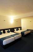 Туры в отель Single Tree Mount Hotel Туры в отель Single Tree Mount Hotel