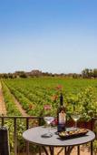 Туры в отель Baglio Oneto Dei Principi di San Lorenzo - Luxury Wine Resort Туры в отель Baglio Oneto Dei Principi di San Lorenzo - Luxury Wine Resort