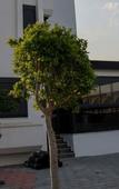 Туры в отель Port Selene Otel Туры в отель Port Selene Otel