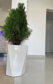 Туры в отель Season Inn Hotel Apartment by Duqm Туры в отель Season Inn Hotel Apartment by Duqm