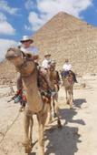 Туры в отель Rayan pyramids view Туры в отель Rayan pyramids view
