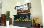 Туры в отель BMB Za'faron Hotel Туры в отель BMB Za'faron Hotel