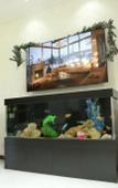 Туры в отель BMB Za'faron Hotel Туры в отель BMB Za'faron Hotel