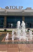 Туры в отель Tolip Resort El Galala Heights Туры в отель Tolip Resort El Galala Heights