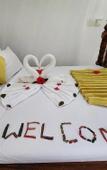 Туры в отель Seagull Nungwi Resort Туры в отель Seagull Nungwi Resort