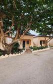 Туры в отель Seagull Nungwi Resort Туры в отель Seagull Nungwi Resort