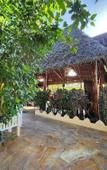 Туры в отель Seagull Nungwi Resort Туры в отель Seagull Nungwi Resort