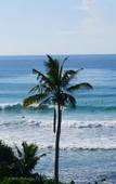 Туры в отель Cozy Cocos Туры в отель Cozy Cocos