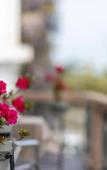 Туры в отель Acord Hotel & Balcony Туры в отель Acord Hotel & Balcony