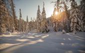 Туры в отель Yolki Lesnoy Park-Hotel Туры в отель Yolki Lesnoy Park-Hotel