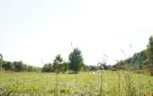 Туры в отель Yolki Lesnoy Park-Hotel Туры в отель Yolki Lesnoy Park-Hotel