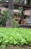 Туры в отель Amarit Onsen Homestay Туры в отель Amarit Onsen Homestay