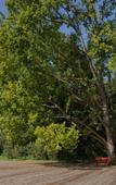 Туры в отель Отель Русские Сезоны Эмбиент Парк Туры в отель Отель Русские Сезоны Эмбиент Парк