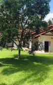 Туры в отель Coco Villa Peach Tree Туры в отель Coco Villa Peach Tree