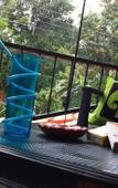 Туры в отель Villa Luxury Virginia With Pool and Garden Туры в отель Villa Luxury Virginia With Pool and Garden