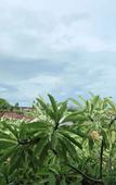 Туры в отель Ananda's Sanur Туры в отель Ananda's Sanur
