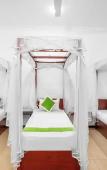 Туры в отель Treetop Resort Туры в отель Treetop Resort