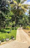 Туры в отель Queen's Villa Туры в отель Queen's Villa