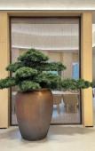 Туры в отель Full Season Hotel-HGH Туры в отель Full Season Hotel-HGH