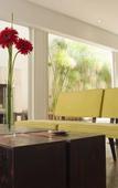 Туры в отель Bromelia Hotel Boutique Туры в отель Bromelia Hotel Boutique