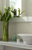 Туры в отель Bromelia Hotel Boutique Туры в отель Bromelia Hotel Boutique