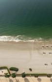 Туры в отель KeyRock - Dreamy Stay Palm View Туры в отель KeyRock - Dreamy Stay Palm View