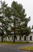 Туры в отель Nomera v Petergofe Hotel Туры в отель Nomera v Petergofe Hotel