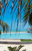 Туры в отель Jambo Resort By Mambo Hotels Туры в отель Jambo Resort By Mambo Hotels