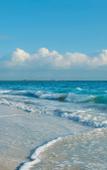 Туры в отель Secrets Playa Blanca Costa Mujeres - Adults Only - All Inclusive Туры в отель Secrets Playa Blanca Costa Mujeres - Adults Only - All Inclusive