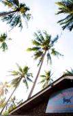 Туры в отель Carpe Diem Guest House Туры в отель Carpe Diem Guest House