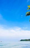 Туры в отель Carpe Diem Guest House Туры в отель Carpe Diem Guest House
