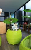 Туры в отель The White Elephant Home Туры в отель The White Elephant Home