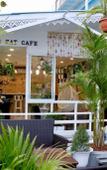 Туры в отель I Talay Lodge Boutique Hotel Туры в отель I Talay Lodge Boutique Hotel