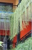 Туры в отель Rena Segara House Kuta Туры в отель Rena Segara House Kuta