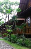Туры в отель Mina Tanjung Hotel Туры в отель Mina Tanjung Hotel