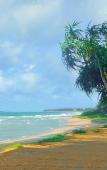 Туры в отель The Beach Cabanas Туры в отель The Beach Cabanas