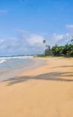 Туры в отель The Beach Cabanas Туры в отель The Beach Cabanas