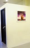Туры в отель Mercy Hostel Туры в отель Mercy Hostel