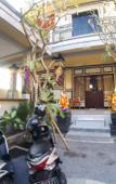 Туры в отель Adi Homestay Canggu Туры в отель Adi Homestay Canggu