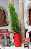 Туры в отель Riad Kalaa 2 Туры в отель Riad Kalaa 2