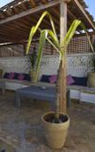 Туры в отель Riad Kalaa 2 Туры в отель Riad Kalaa 2