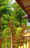 Туры в отель Bonus Bungalow Туры в отель Bonus Bungalow