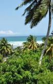 Туры в отель Amanda Resort Mirissa Туры в отель Amanda Resort Mirissa