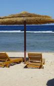 Туры в отель BeachSafari Resort Туры в отель BeachSafari Resort
