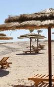 Туры в отель BeachSafari Resort Туры в отель BeachSafari Resort